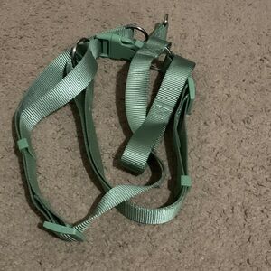 Green Dog Harness